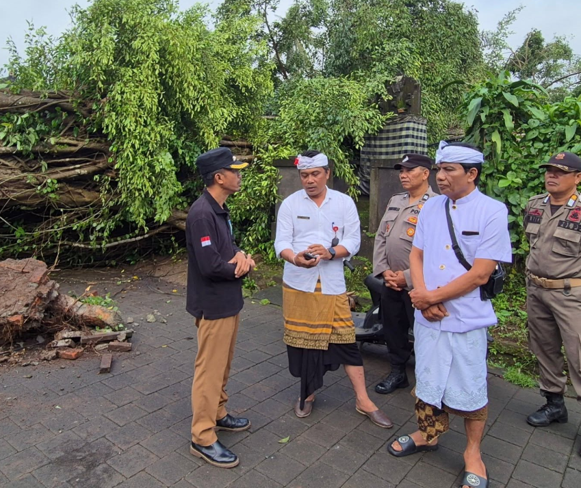 Pemerintah Desa Bongkasa Gerak Cepat Tindak Lanjuti Bencana Alam Pohon Tumbang di Banjar Pengembunga